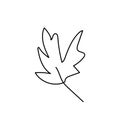 Simple vector maple leaf. Autumn,botanical illustration with
