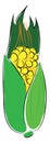 Simple vector nillustration of yellow corn with green keaf Royalty Free Stock Photo