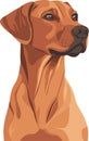 simple vector Rhodesian Ridgeback clipart Royalty Free Stock Photo