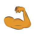 Simple Vector Sketch Arm of Muscle Man, Isolated on White Royalty Free Stock Photo