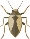 simple vector waterbug clipart Royalty Free Stock Photo