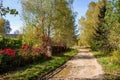 Simple view of rural street