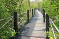 Simple walkway made of wooden path and rope surrounded by tropic Royalty Free Stock Photo