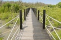 Simple walkway made of wooden path and rope surrounded by tropic Royalty Free Stock Photo