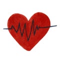 Simple watercolor bright heart with cardiogram isolated in white background. For various health, medical products etc.