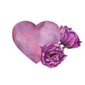 Simple watercolor pink blue lilac hear with violet tulips for Happy Valentines Day card or t-shirt design. Romance