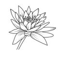 simple waterlily drawings for kids, single outline drawings with waterlily, blossom waterlily vector arart