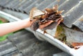 A simple way to unclog and clean the roof gutters from debris by removing dry autumn leaves by hand to prevent rain water overflow Royalty Free Stock Photo