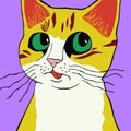Cute Whimsical Colorful Cat Portrait