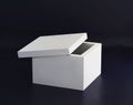 Simple white blank cardboard open box with lid Royalty Free Stock Photo