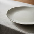 A simple, white ceramic plate is placed on a table covered with a textured, light-gray Royalty Free Stock Photo