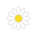 Simple white daisy flower vector