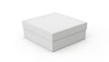 Simple white gift box Royalty Free Stock Photo