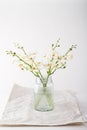 Simple white orchids in a vintage glass jar with space for text Royalty Free Stock Photo