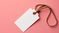 A simple white rectangular label tag floats on a soft pink backdrop, ideal for showcasing your price or message
