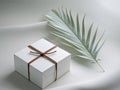 Simple White Square Box Tied with Brown Twine on Gray Surface with Palm Leaf. Royalty Free Stock Photo