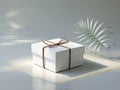 Simple White Square Box Tied with Brown Twine on Gray Surface with Palm Leaf Royalty Free Stock Photo
