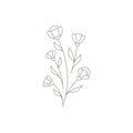 Simple wild pretty flower bouquet natural plant wall art print logo design vector illustration Royalty Free Stock Photo