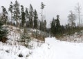 Simple winter landscape with snowy spruces and land, ordinary gray cloudy winter day