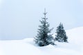 Simple winter scene with snow and two snow-covered fir trees against pastel blue background