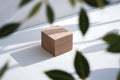 Simple wooden block surrounded by green leaves, with shadows adding depth Royalty Free Stock Photo