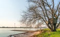 Simple wooden children`s hut in a bare tree Royalty Free Stock Photo