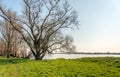 Simple wooden children`s hut in a bare tree Royalty Free Stock Photo