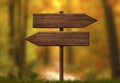 Simple wooden double direction arrow roadsign with autumn forest background Royalty Free Stock Photo