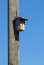 a simple wooden nesting box hangs on a wooden telephone pole Royalty Free Stock Photo