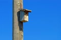 a simple wooden nesting box hangs on a wooden telephone pole Royalty Free Stock Photo