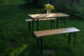 Simple wooden table with a flower bouquet and benches on the meadow in a natural garden on a sunny day, idyllic summer scene, copy