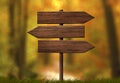 Simple wooden triple direction arrow roadsign with autumn forest background