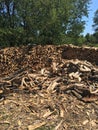 Simple Woodstack Royalty Free Stock Photo