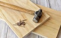 Simple workshop tools and lumber for handcrafted woodworking projects