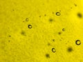 Simple yellow glass texture background with embedded air bubbles Royalty Free Stock Photo