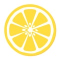 simple yellow and white slice of lemon