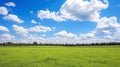 A large field of green grass and forest under the blue sky and white clouds Royalty Free Stock Photo