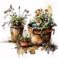 Simplicity in Bloom: Spring Flowers in a Rusty Clay Pot AI Generated