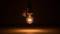 Simplicity and contrast emphasize the bulb s shape and the texture of Royalty Free Stock Photo