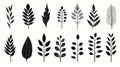 Simplified Black And White Leaves: Naturalistic Flora And Fauna Depictions