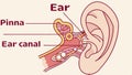 Simplified human ear diagram, educational anatomical vector design Generative AI Royalty Free Stock Photo