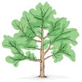 Simplified image - crone of tree