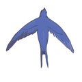 Simplified image of a flying swallow isolated on a white background.