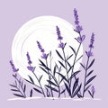 Simplified Lavender Illustration With Moonlight On Purple Background