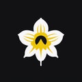 Simplified Narcissus Flower Logo On Black Background