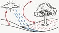 Simplified Water Cycle: Rain, Tree, and Ground, vector design Generative AI Royalty Free Stock Photo