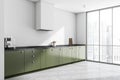 Simplified white and green kitchen with panoramic window. Corner view