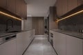 Simplistic modern kitchen interior of modern decor and Board cabinet