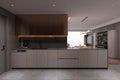 Simplistic modern kitchen interior of modern technology. Board cabinet