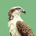 Simplistic Vector Art Of An Osprey In Emerald And Beige